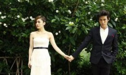 刘芸主演的电视剧,情感纠葛与成长蜕变