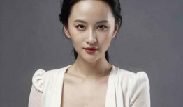 电视剧明星,揭秘电视剧明星的辉煌之路